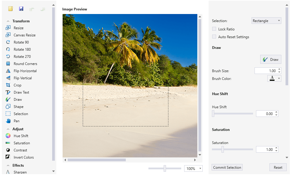 Telerik UI for WPF - Image Editor - Selection Image